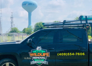 Wildlife Control truck in front of Clear Lake's watertower